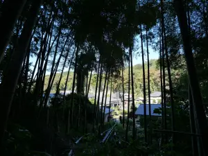 写真No.4